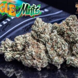 Jungle Mints